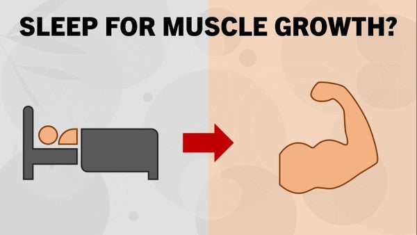 Does Lack of Sleep Affect Muscle Growth? – Astroflav
