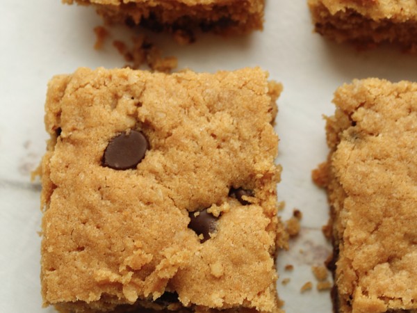 Salted Peanut Butter Protein Oat Bars