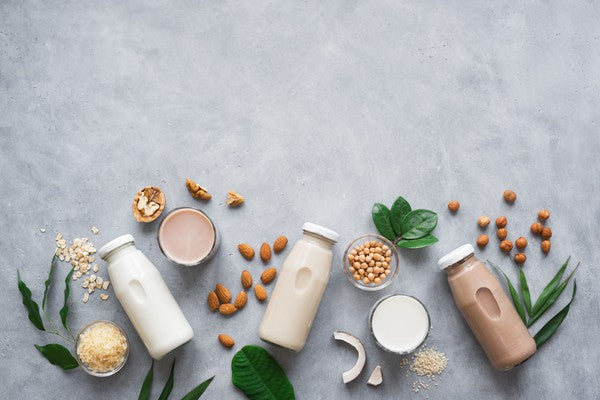 Whey vs. Plant-Based Protein: Which Is Better?