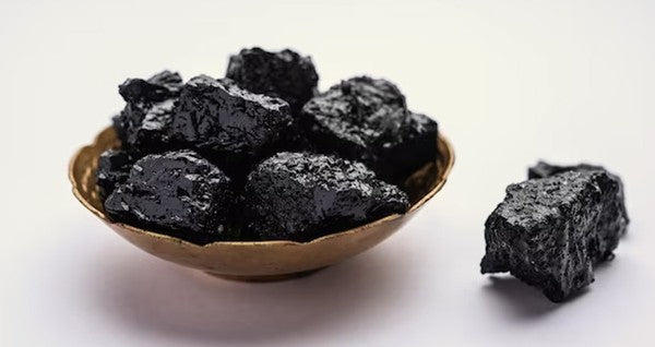PRIMAVIE SHILAJIT & COENZYME Q10