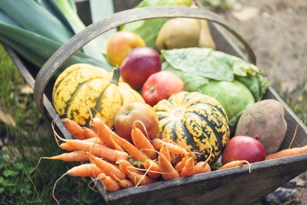 A Guide to Eating Seasonally This Fall
