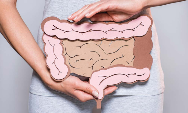 Best Vitamins & Supplements for Digestion